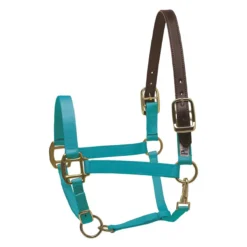 Perri's Economy Safety Halter -Cavallo Equestrian Shop 150PTU Perris Economy.Safety.Halter Turquoise