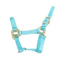 Deluxe Mini Halter 9 Deluxe Mini Halter -Cavallo Equestrian Shop 1823 Jacks Mini.Halter LtBlue Side