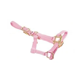 Deluxe Mini Halter 10 Deluxe Mini Halter -Cavallo Equestrian Shop 1823 Jacks Mini.Halter Pink Side