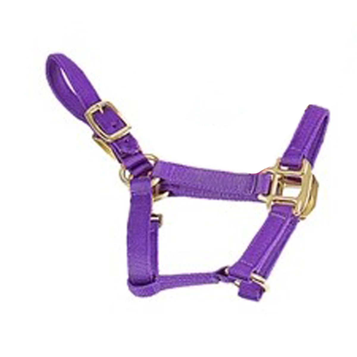 Deluxe Mini Halter 6 Deluxe Mini Halter - Image 6