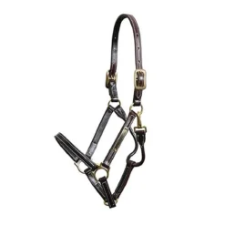 Walsh Showman Halter