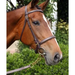 Nunn Finer Newmarket Shank -Cavallo Equestrian Shop 81 2T