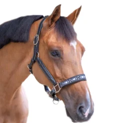 Penelope Pearl Halter -Cavallo Equestrian Shop FrenchEq 510311302 PearlHalterblack1 5bf841fe c892 42b0 aa7f cab390a6d935