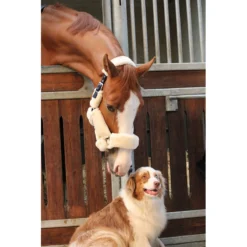 Jump'in Soft Halter - One Collection -Cavallo Equestrian Shop JI LOM beige4