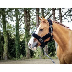Jump'in Soft Halter - One Collection -Cavallo Equestrian Shop JI LOM blk1