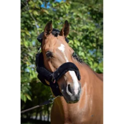 Jump'in Soft Halter - One Collection -Cavallo Equestrian Shop JI LOM blk2