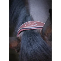 Jump'in Travel Halter - One Collection 6 Jump'in Travel Halter - One Collection -Cavallo Equestrian Shop JI TravelHalter3