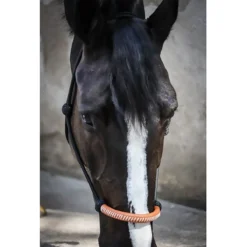 Jump'in Penelope American Rope Halter -Cavallo Equestrian Shop Pen AmericanRope 2