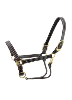 Walsh Kentucky Halter