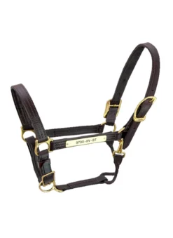 Walsh Kentucky Halter -Cavallo Equestrian Shop Walsh Kentucky Halter Havana brown thread 85485.1582144107.1280.1280