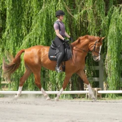 Kerrits Women's Crossover II Full Seat Breech 39 Kerrits Women's Crossover II Full Seat Breech -Cavallo Equestrian Shop black3 68735.1581518814.1280.1280 ee0169b4 275f 4e97 9c76 48ce457233a0