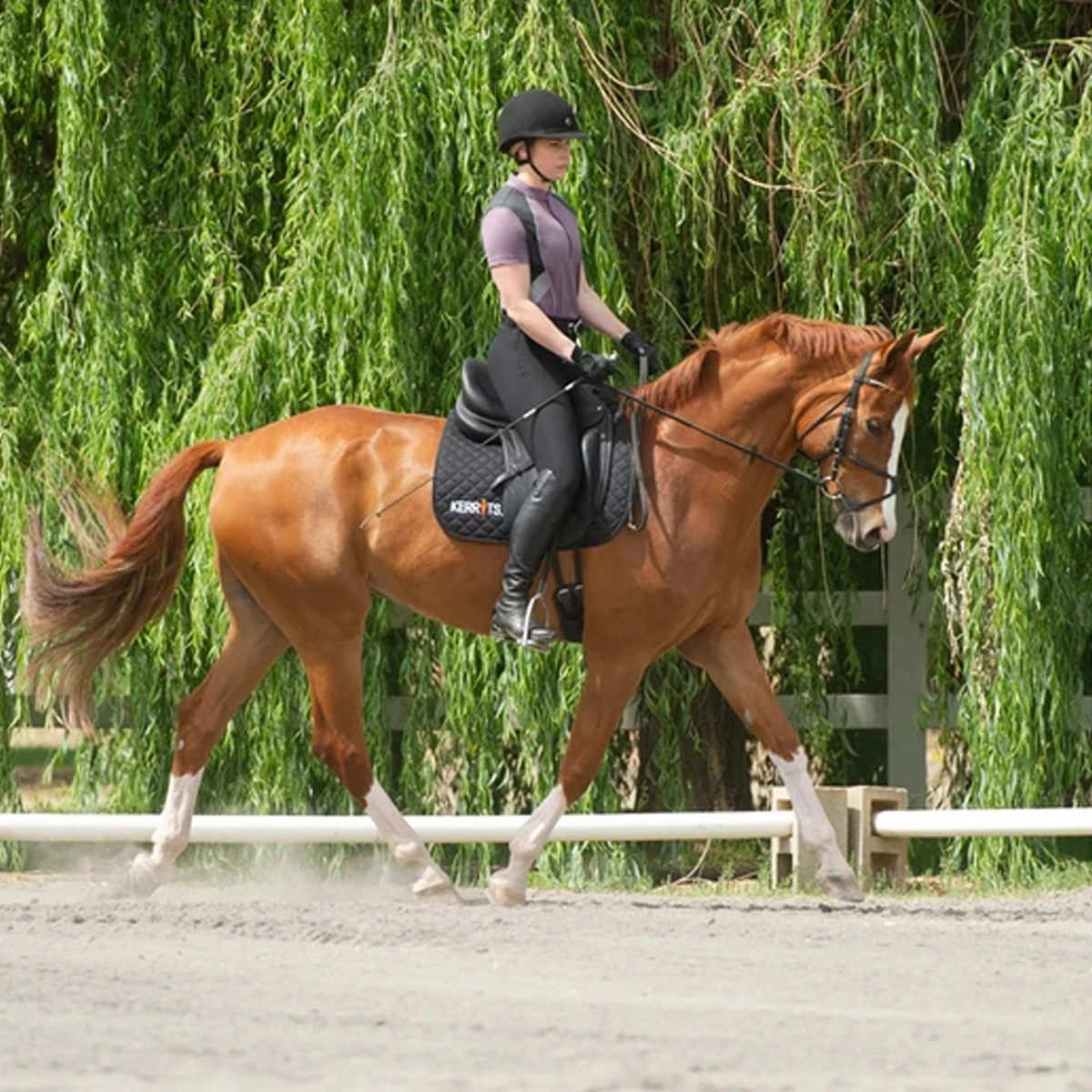 Kerrits Women's Crossover II Full Seat Breech 20 Kerrits Women's Crossover II Full Seat Breech - Image 20