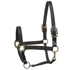 Perri's Premium Nylon Safety Halter -Cavallo Equestrian Shop black 53938.1588257174.1280.1280