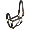 Perri's 1" Leather Show Halter