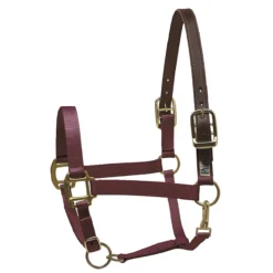 Perri's Premium Nylon Safety Halter -Cavallo Equestrian Shop burgundy 54542.1588257173.1280.1280