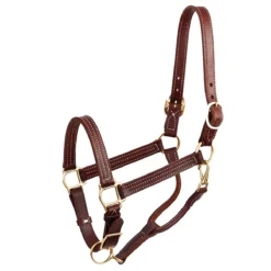 Perri's 1" Leather Show Halter -Cavallo Equestrian Shop chestnut 40178.1588006314.1280.1280