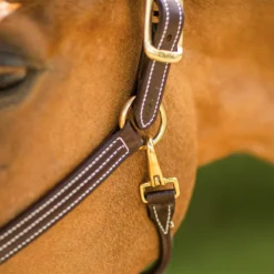 Walsh British Halter -Cavallo Equestrian Shop halter11