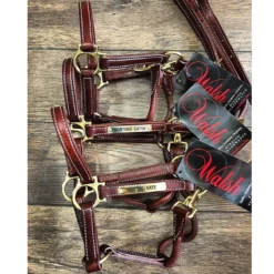 Walsh Showman Halter -Cavallo Equestrian Shop halter2 fa638c65 9196 4b83 b725 af4a0ee4a7d0