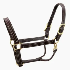 Walsh British Halter -Cavallo Equestrian Shop halter7