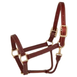 Walsh British Halter -Cavallo Equestrian Shop halter 6151eb20 927d 4a79 86ce fb6feb52a3eb