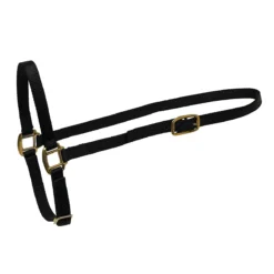 Perri's Nylon Grooming Halter