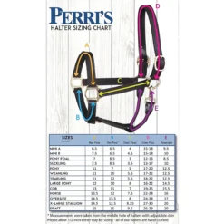 Perri's 1" Leather Show Halter -Cavallo Equestrian Shop halter 44465.1588006314.1280.1280