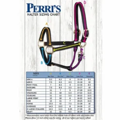 Perri's 1" Crown Piece -Cavallo Equestrian Shop halter size 84181.1588106269.1280.1280