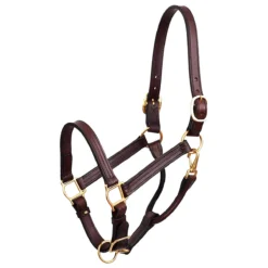 Perri's 1" Leather Show Halter -Cavallo Equestrian Shop havana 70517.1588006313.1280.1280