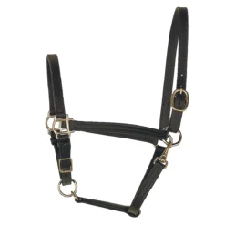 Perri's 3/4" Leather Turnout Halter
