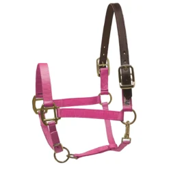 Perri's Premium Nylon Safety Halter -Cavallo Equestrian Shop hot pink 73719.1588257173.1280.1280