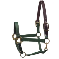 Perri's Premium Nylon Safety Halter -Cavallo Equestrian Shop hunter green 79434.1588257174.1280.1280