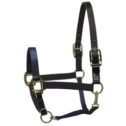 Perri's Premium Nylon Safety Halter -Cavallo Equestrian Shop navy 34737.1588257173.1280.1280