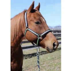 Tuffrider Nylon Breakaway Halter And Lead -Cavallo Equestrian Shop navy neon green3 35065.1587406680.1280.1280