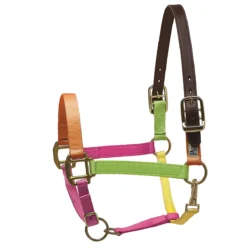 Perri's Premium Nylon Safety Halter -Cavallo Equestrian Shop neon multi 52151.1588257175.1280.1280