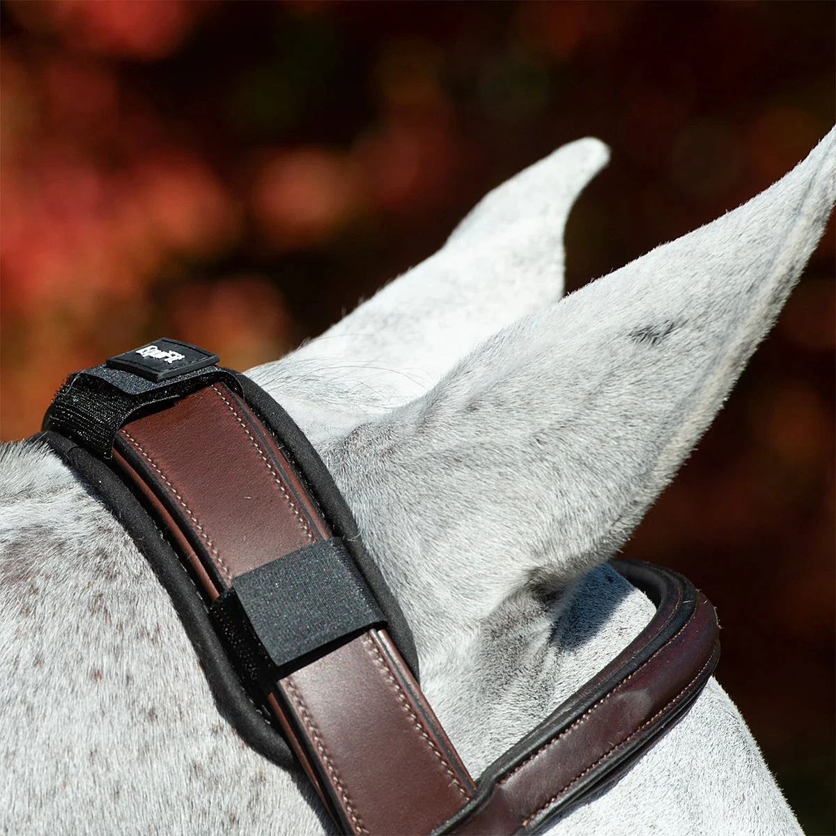 EquiFit ImpacTeq CrownPad 2 EquiFit ImpacTeq CrownPad - Image 2